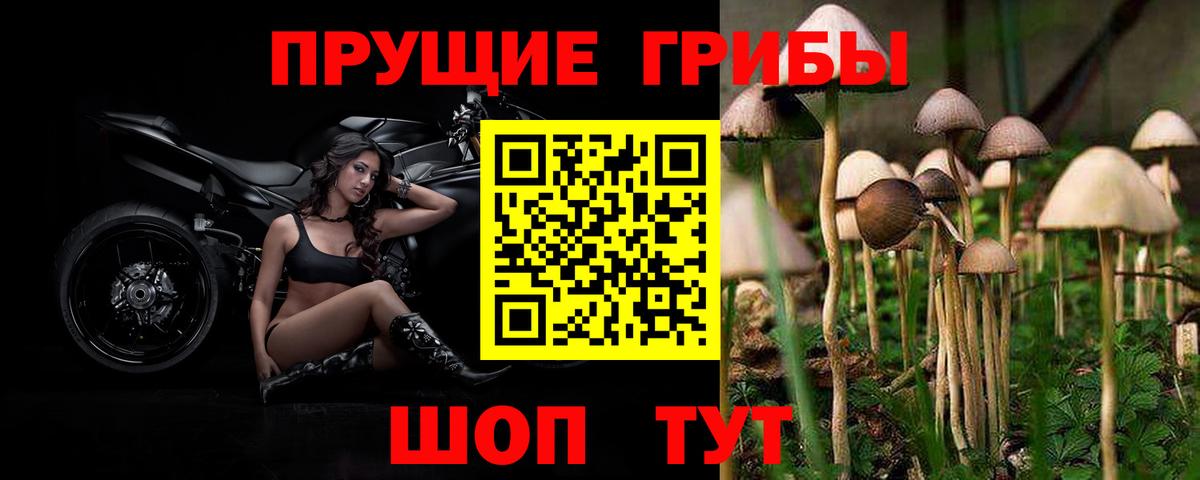 цена наркотик  Псилоцибиновые грибы Magic Shrooms  Вход с VPN  Псилоцибиновые грибы MAGIC MUSHROOMS  Бийск 